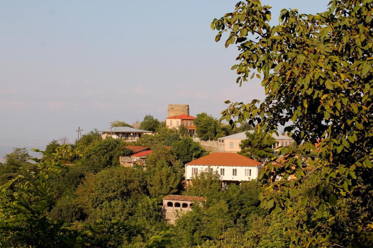 Maya Guest House Sighnaghi Εξωτερικό φωτογραφία